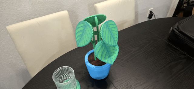 Magnetic Coaster Plant - Apple Leaf