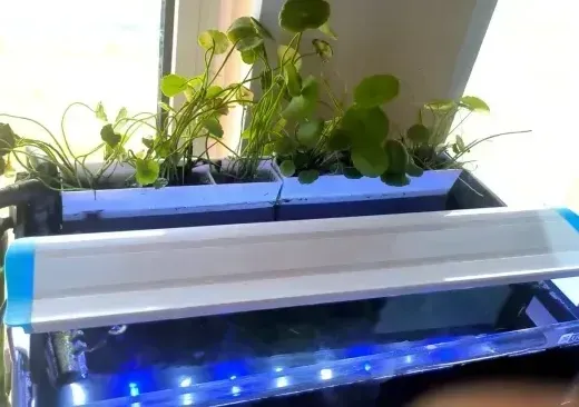 https://makerworld.bblmw.com/makerworld/model/DSM00000001006495/design/e4db6408-83c7-47f8-89be-f2d92c54f765.webp