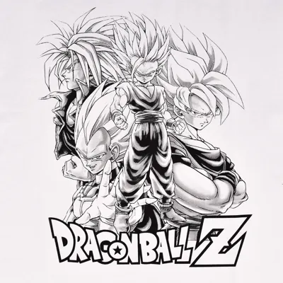 Hueforge Dragonball Z