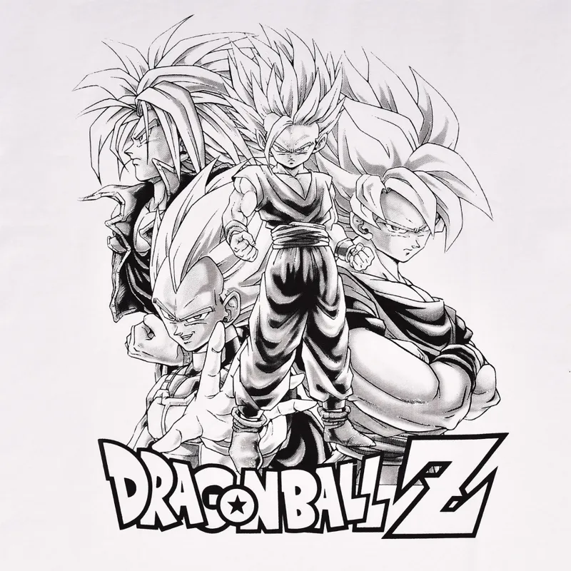 Hueforge Dragonball Z