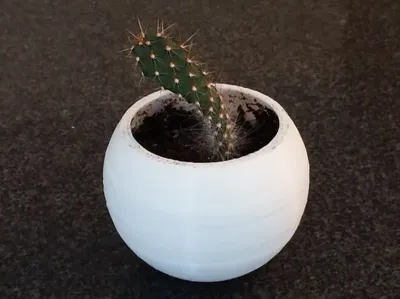 Small Plant pot