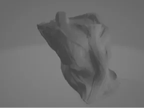 Alien_Head