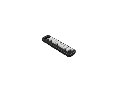 "Fendt" Keychain
