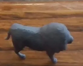 lion