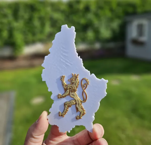 https://makerworld.bblmw.com/makerworld/model/DSM00000001011863/design/2025-01-19_5ed283c712014.jpg