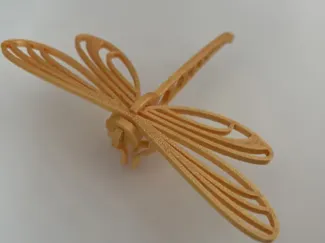 Dragonfly Kit Card