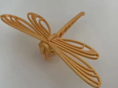 Dragonfly Kit Card