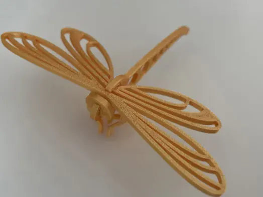 Dragonfly Kit Card