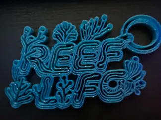 Reef Life Key Chain
