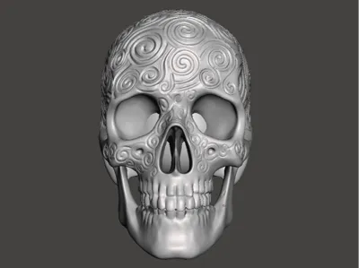 Patterned Skull