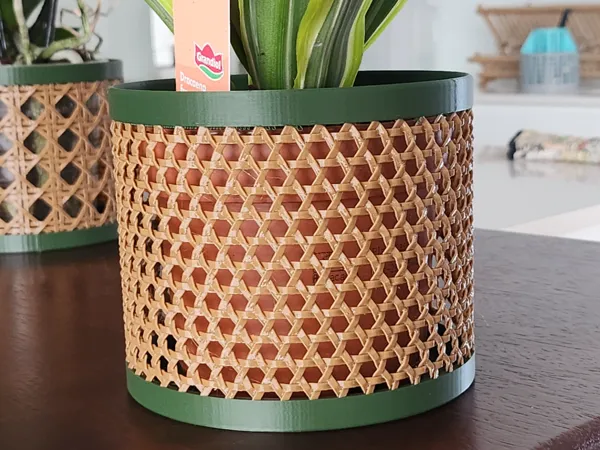 https://makerworld.bblmw.com/makerworld/model/DSM00000001021709/design/2025-01-21_2885c8eb1d225.jpg