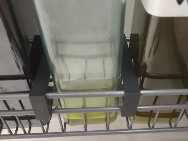 https://makerworld.bblmw.com/makerworld/model/DSM00000001022111/design/2025-01-21_2737d13c5a51b8.jpg