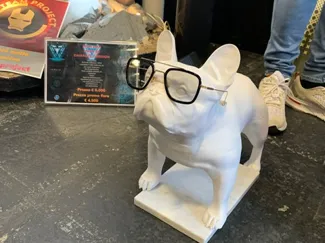 bulldog francese