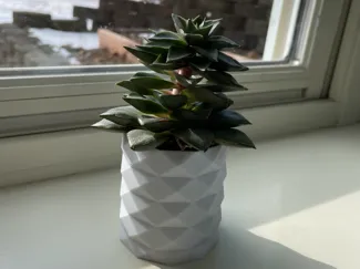 Small, cute planter