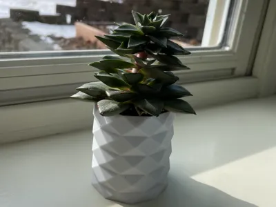 Small, cute planter