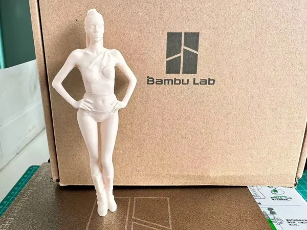 https://makerworld.bblmw.com/makerworld/model/DSM00000001023510/design/20f8e98e-fc8b-4c3e-bed0-2efd962b4658.webp