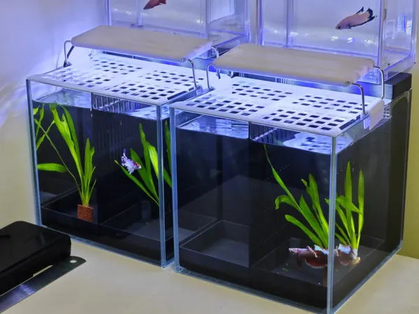 https://makerworld.bblmw.com/makerworld/model/DSM00000001023554/design/44118a77-c2f9-4a03-a5c9-96c11d3ad9fd.webp