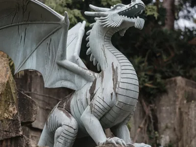 The guardian dragon