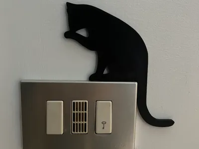 Cat silhouette on a switch