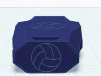 Sifflet d'arbitre pour volley-ball