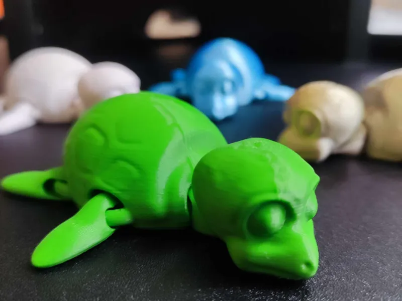 Cute flexi turtle print in place