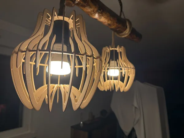 https://makerworld.bblmw.com/makerworld/model/DSM00000001025001/design/2025-01-22_fw3yzwanfqag.jpg