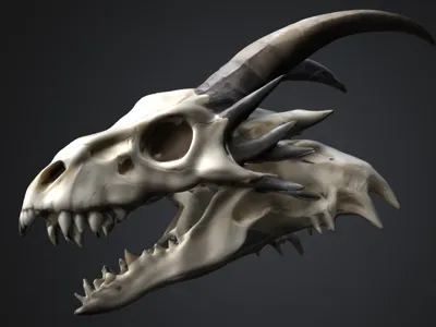 Dragon Skull Decoration