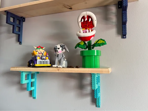 https://makerworld.bblmw.com/makerworld/model/DSM00000001026661/design/2025-01-22_f8a942f81c716.jpg