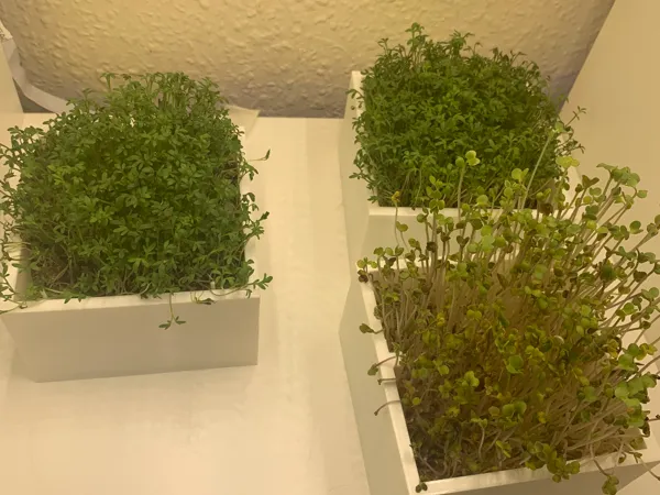 https://makerworld.bblmw.com/makerworld/model/DSM00000001026729/design/2025-01-22_6aa9ab03ba7958.jpg