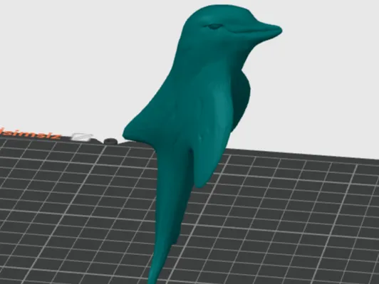 dolphin