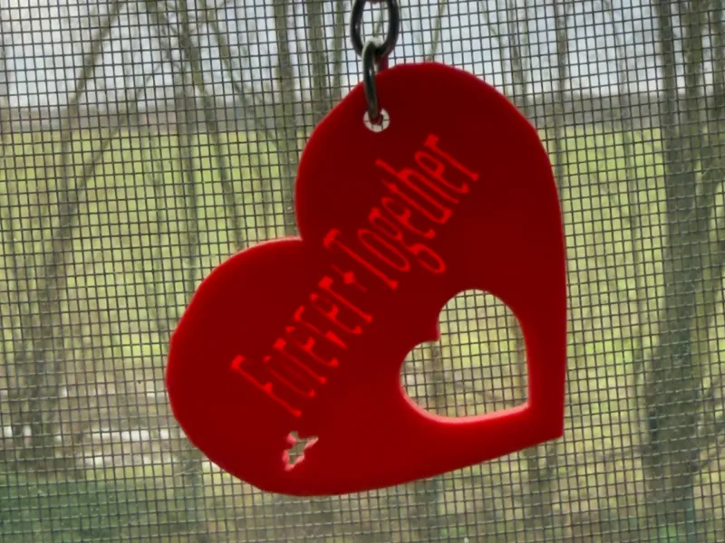 Heart Forever+Together