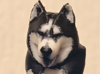 Husky Aiko