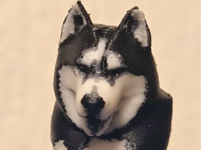 Husky Aiko