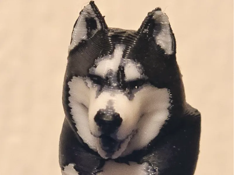 Husky Aiko