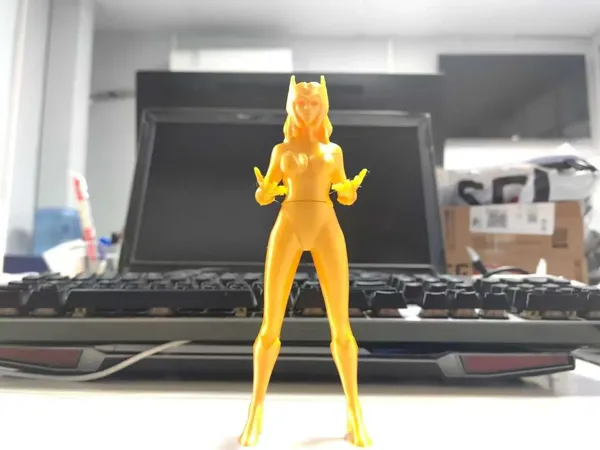 https://makerworld.bblmw.com/makerworld/model/DSM00000001031822/design/691d4c9a-3896-4eeb-9296-3f7d577fa47a.webp