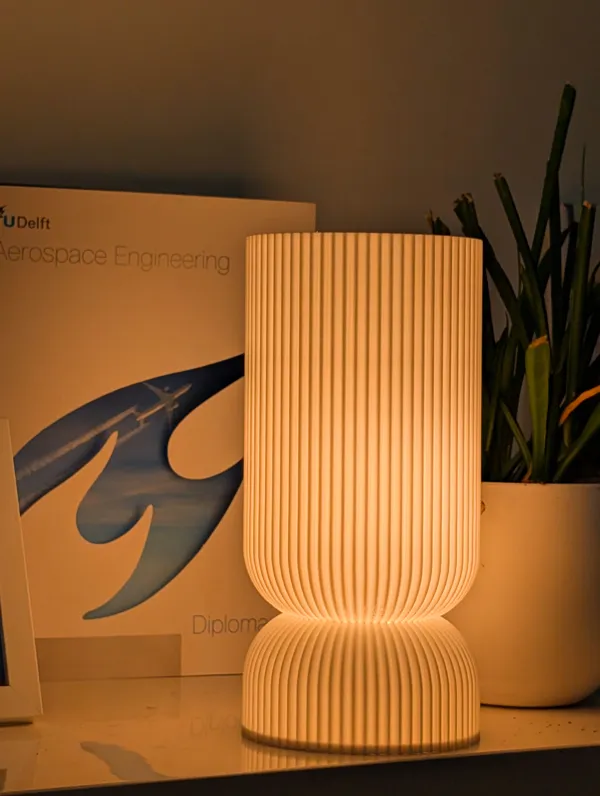 https://makerworld.bblmw.com/makerworld/model/DSM00000001032052/design/2025-01-24_fxqcgk9gp7ti.jpg