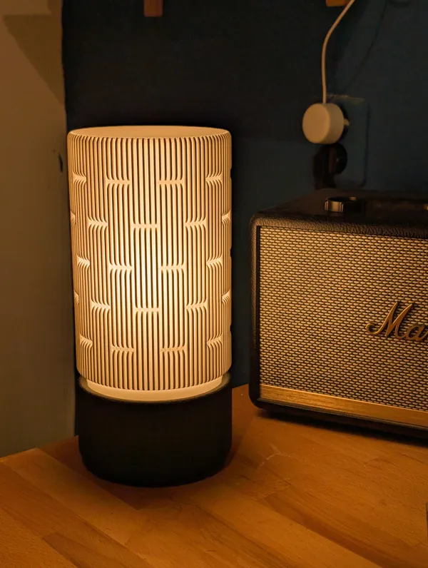 https://makerworld.bblmw.com/makerworld/model/DSM00000001032053/design/2025-01-24_fukzosfk1dmp.jpg