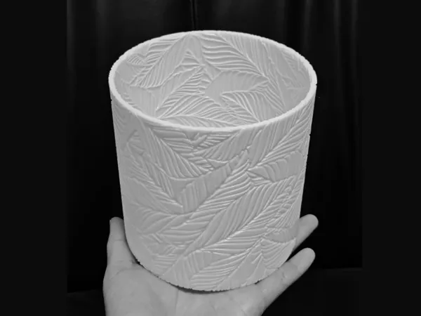https://makerworld.bblmw.com/makerworld/model/DSM00000001032632/design/d3992431-cfbd-406b-b187-431ad08e19dd.webp