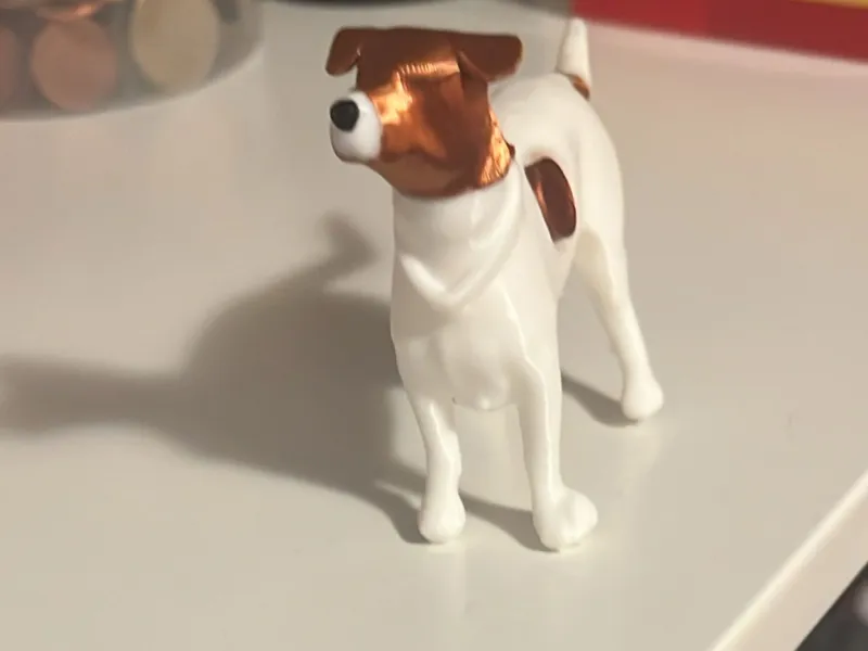 Jack Russel Terrier