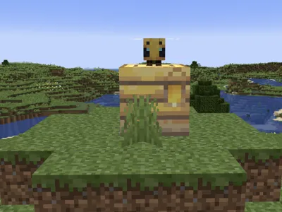 Minecraft Bee On Hive