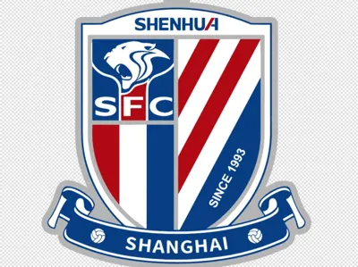 Shenhua team logo keychain