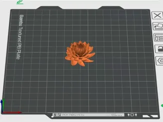 小花花