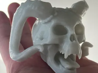 skull