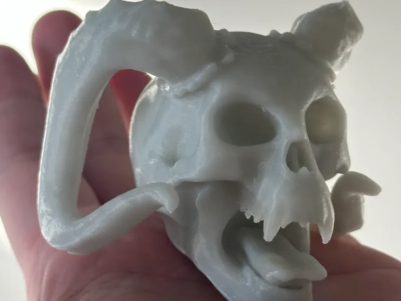 skull