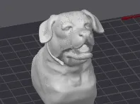 cane