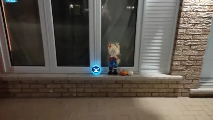 Pumpkin lantern