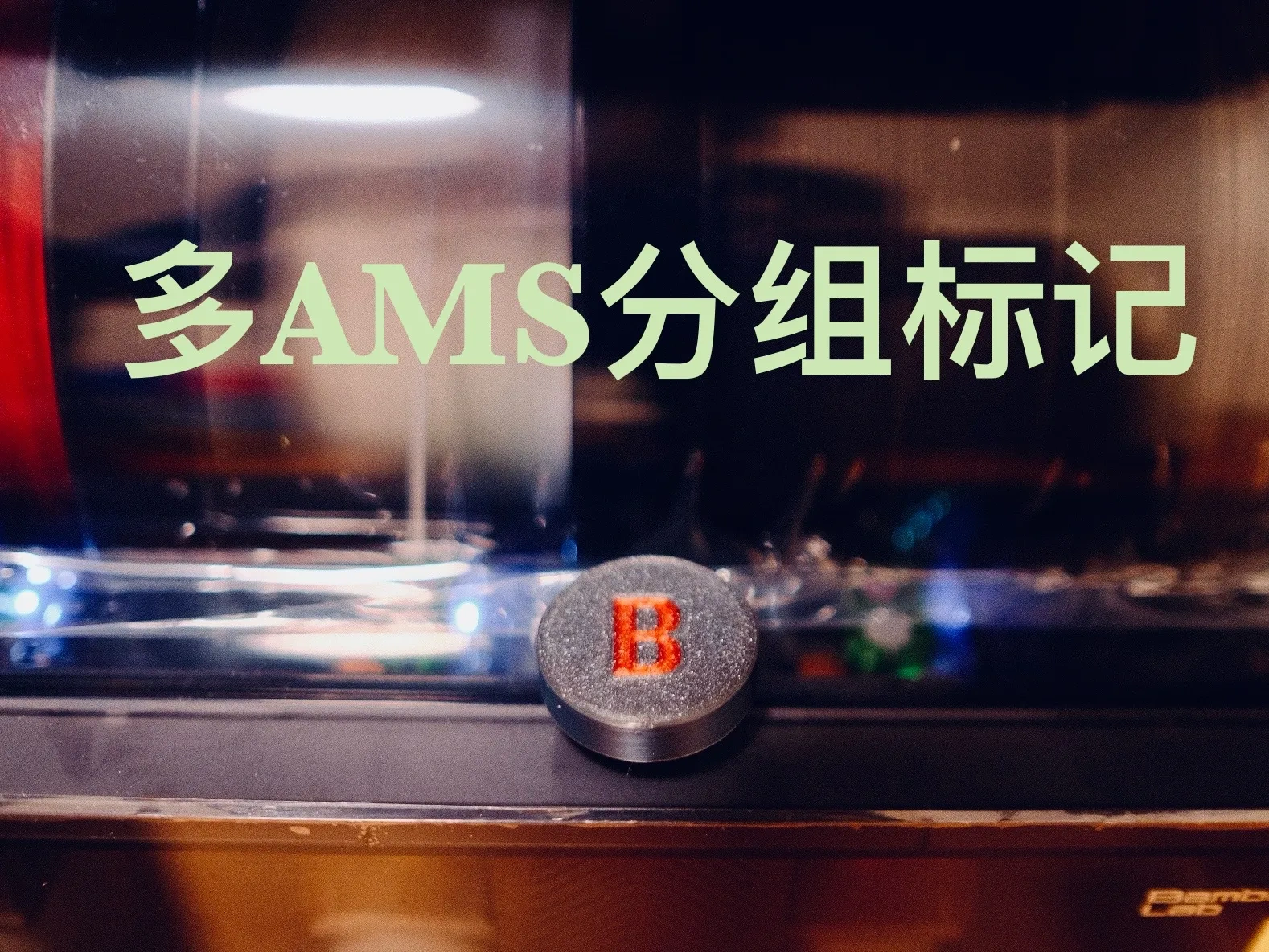 多AMS分组标记