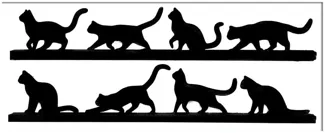 Cats walking on a monitor