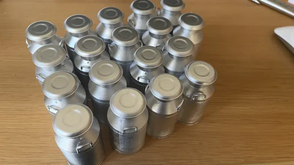 https://makerworld.bblmw.com/makerworld/model/DSM00000001037682/design/2025-01-26_fve3rrf9w10l.jpg