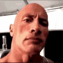 rocktopus